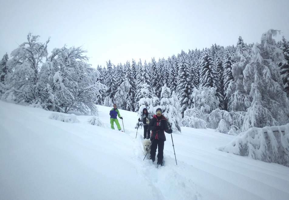 Oz 3300 Ski Resort - Snowshoeing