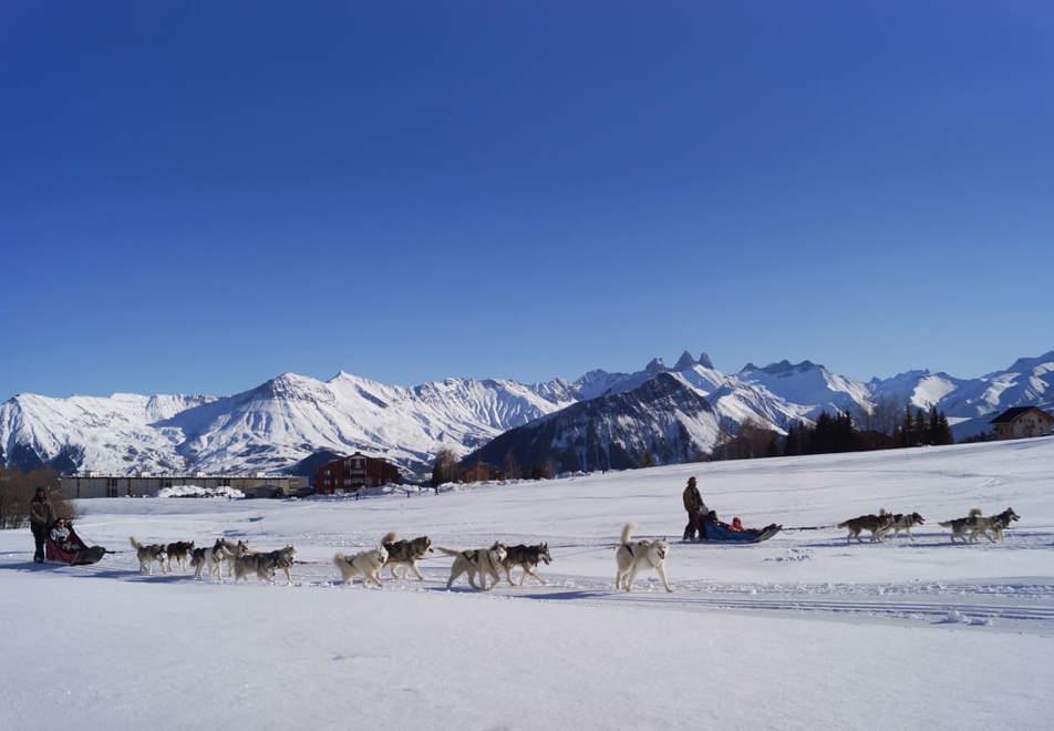 La Toussuire Ski Resort - Dog sledding