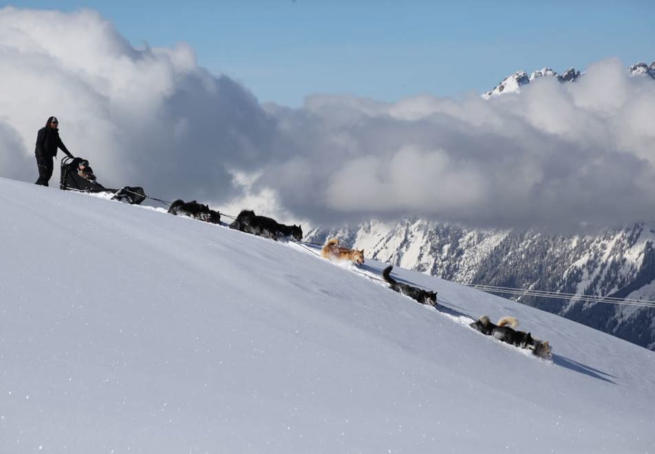 La Plagne Ski Resort - Dog sledding (©m.bernal)