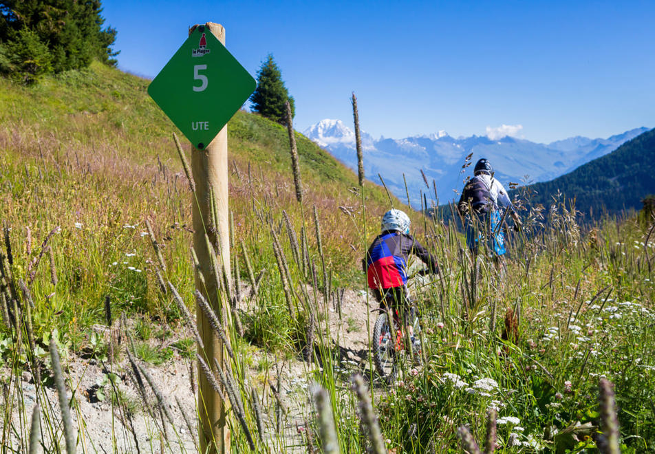 La Plagne Resort (pAugier) - Mountain biking