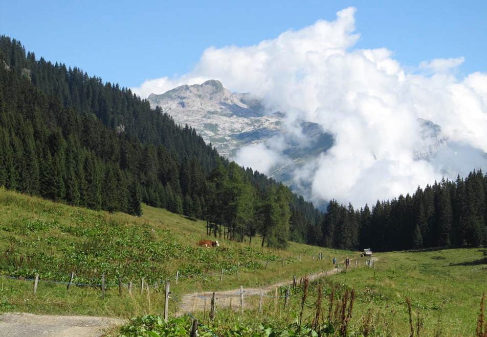 Samoens Village - Beautiful lush mountains