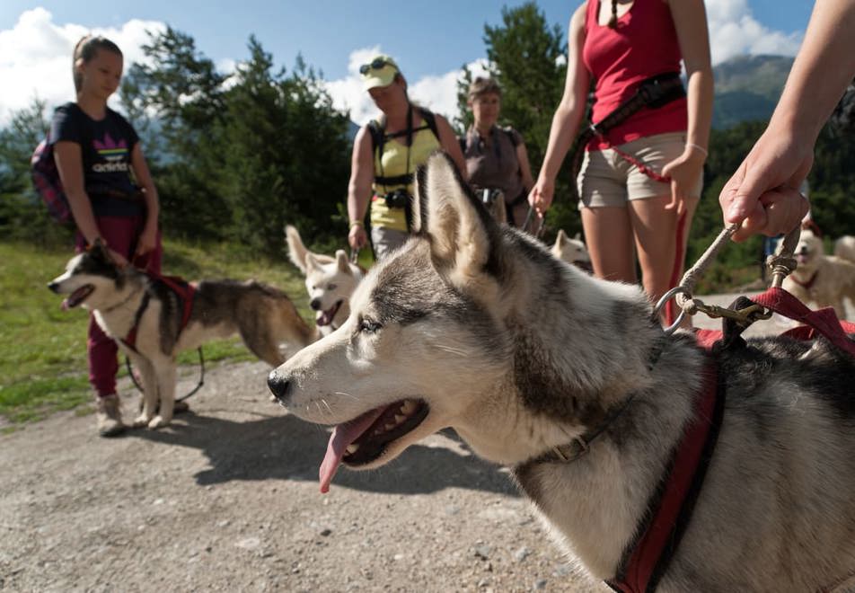 Val Cenis Village - Walking with dogs