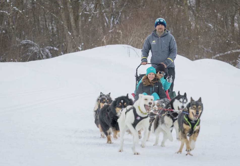 Val Thorens ski resort, 3 Valleys (France) - Dog sledding