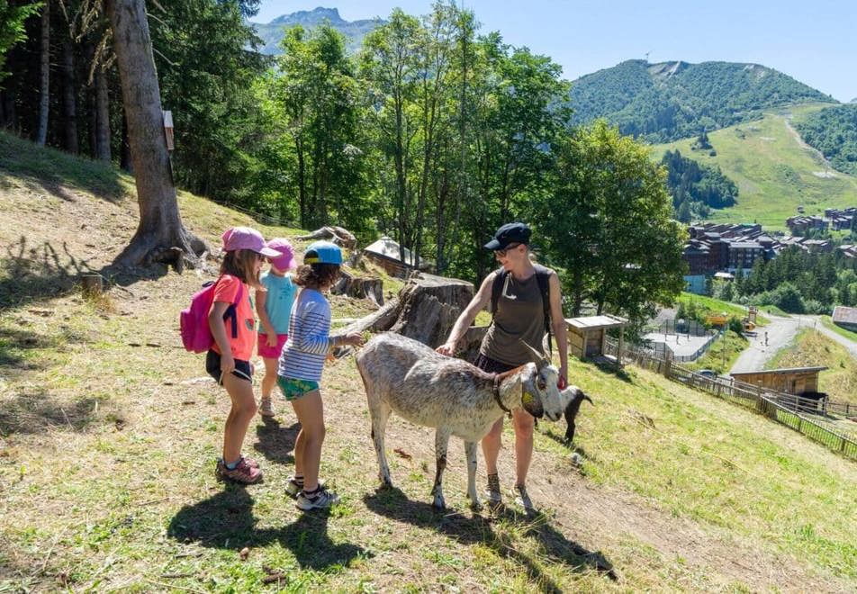 Valmorel walking with animals