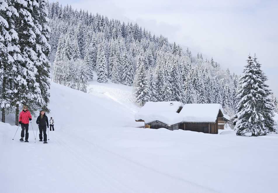 Morzine snowshoes © (jarry-tripelon)