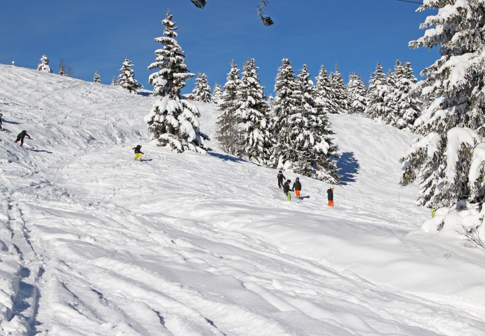 Les Houches Ski Slopes