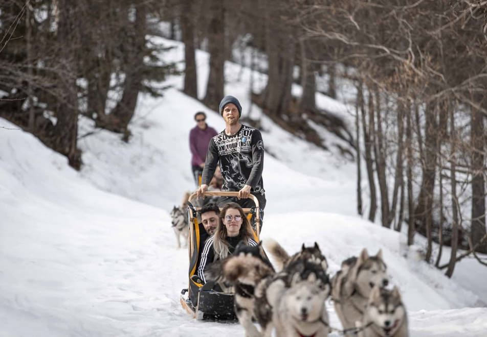 Auron Ski Resort - Dog sledding