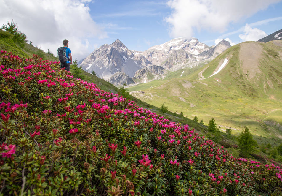 Serre Chevalier hiking