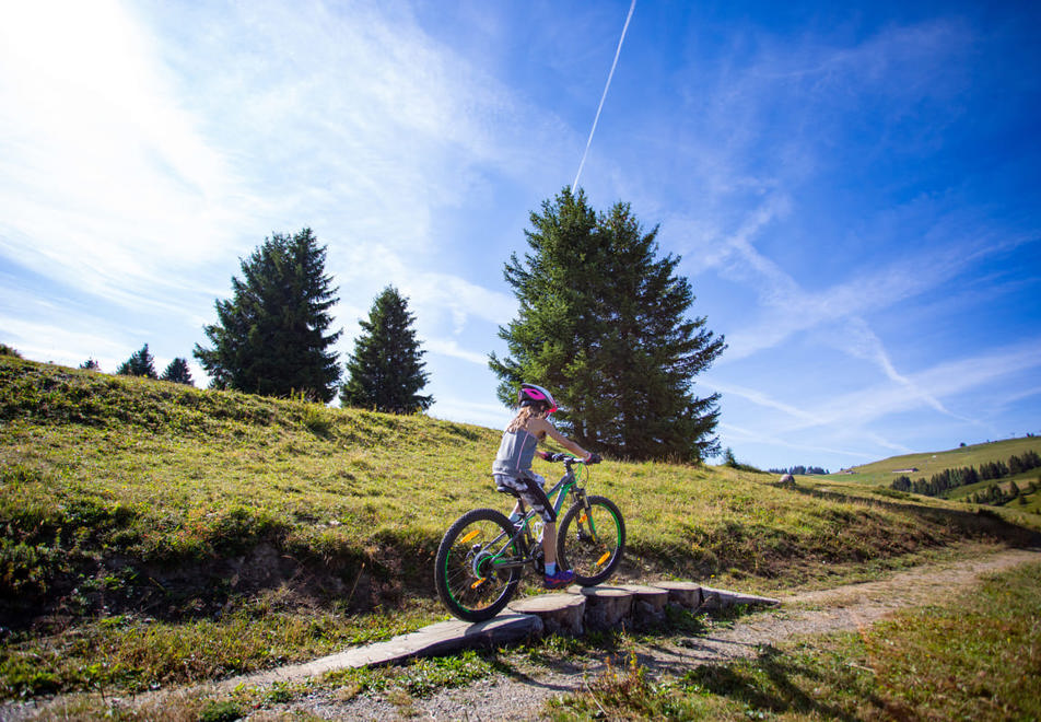 Les Saisies mountain biking