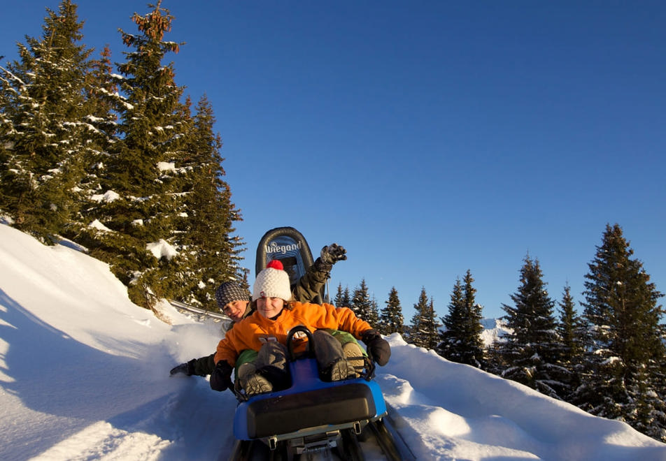 Les Saisies mountain coaster