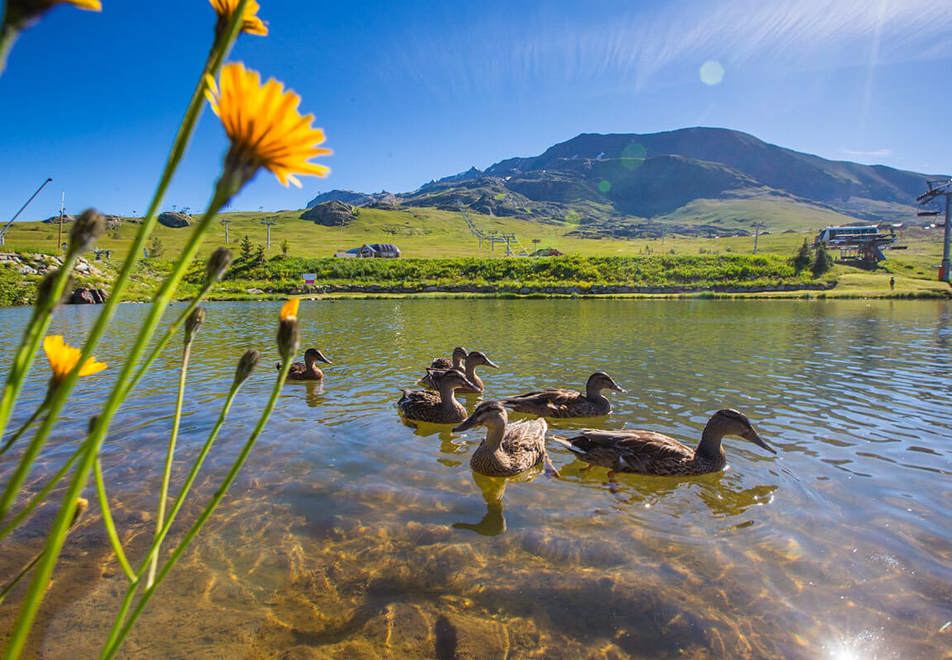 Alpe d'Huez in Summer - Lake