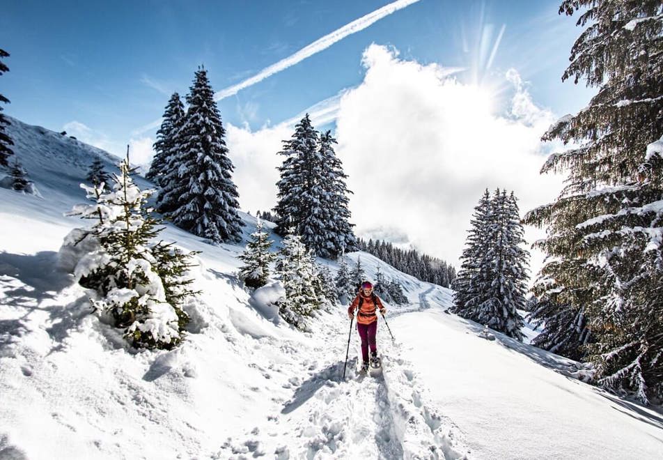 Chatel snowshoes