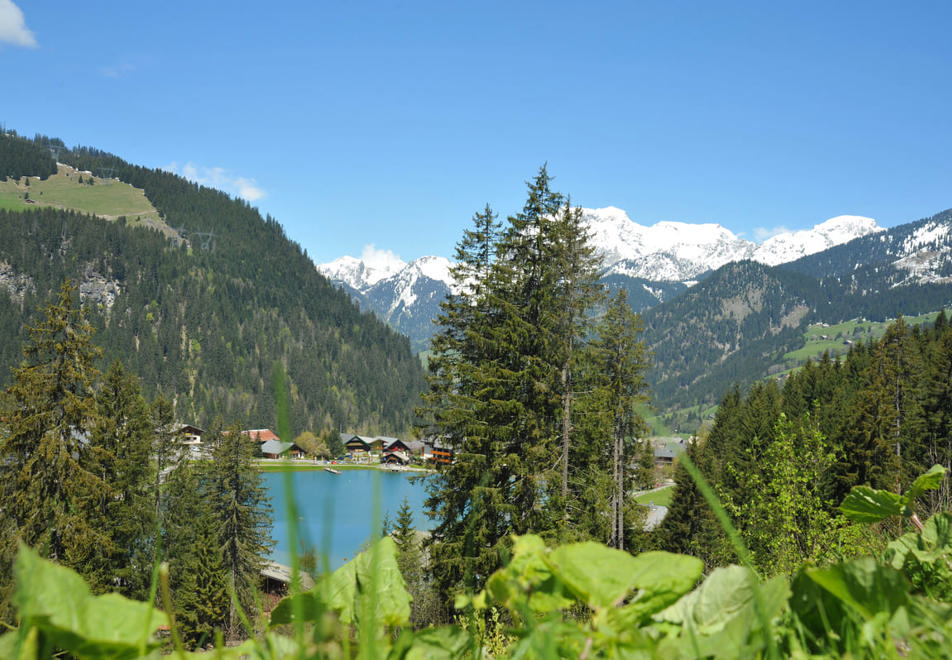 Chatel Lac de Vonnes