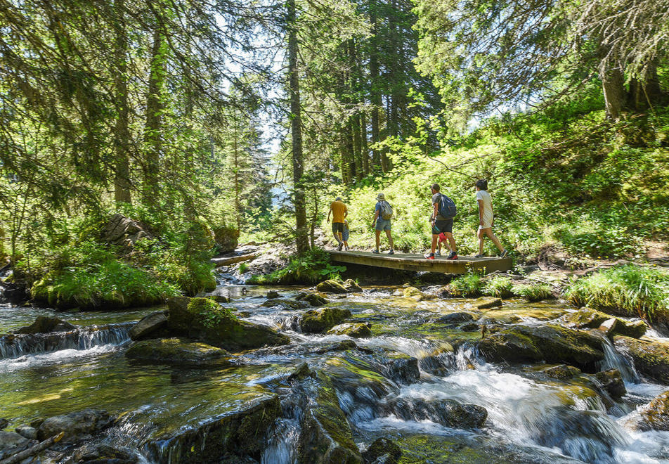 Morzine walking