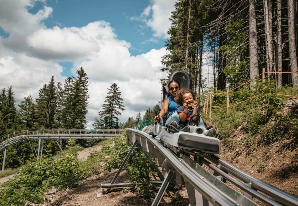 Les Gets - Mountain coaster