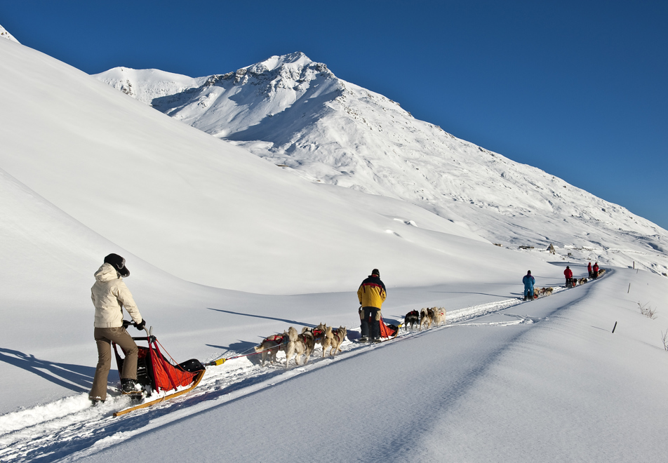 Val Cenis Ski Resort - Dog sledding