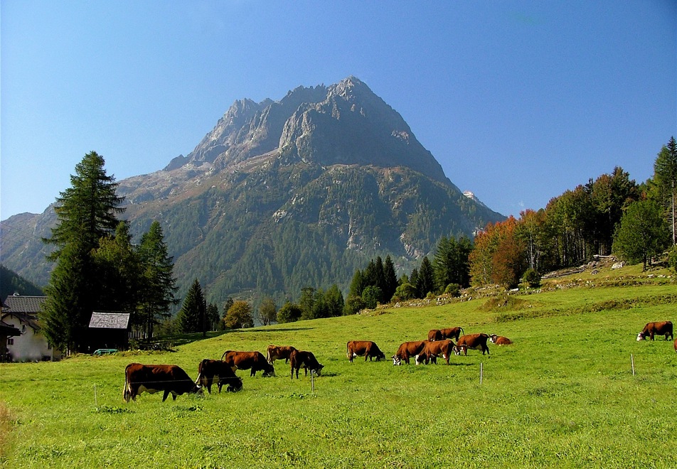 Vallorcine Mountains