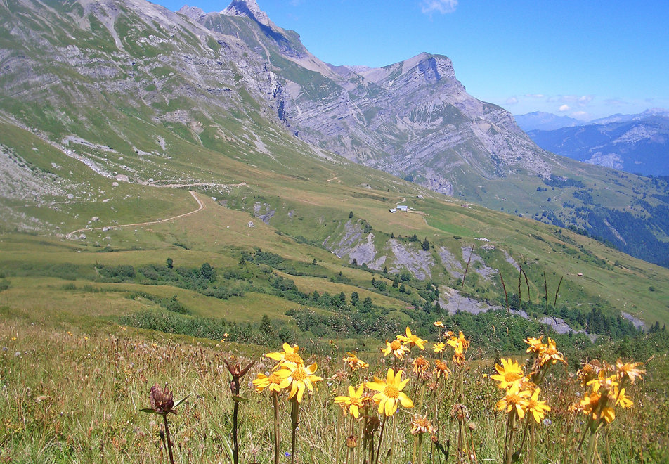 Combloux Mountains