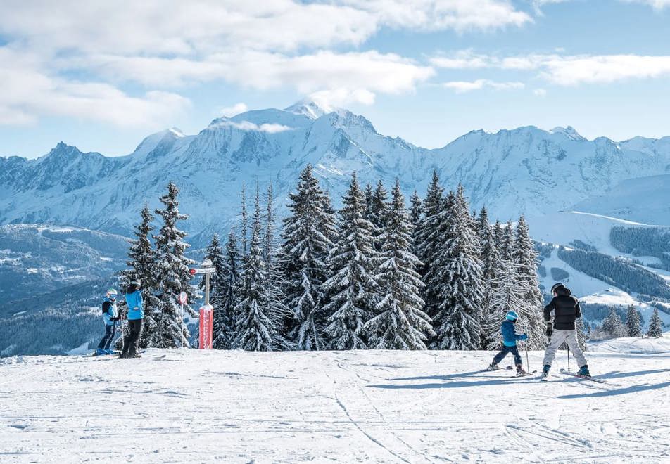 Combloux tree-lined ski slopes (©MarineMartin)