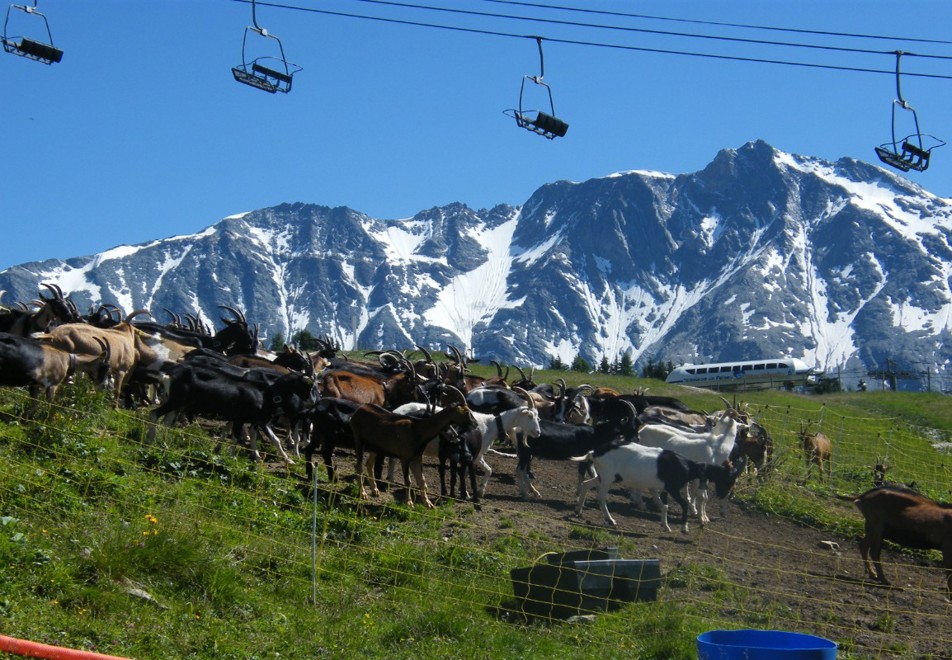 Peisey Vallandry Village