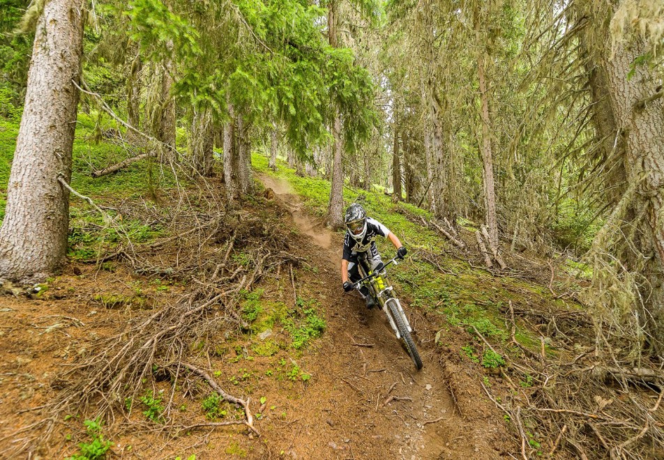 Peisey Vallandry Village - Mountain biking