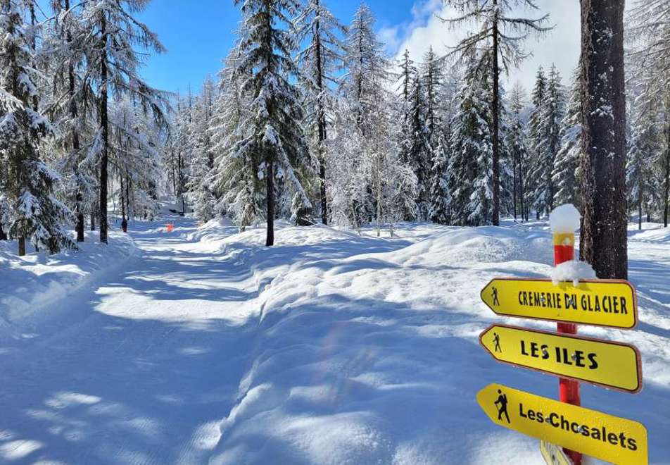 Chamonix nordic skiing