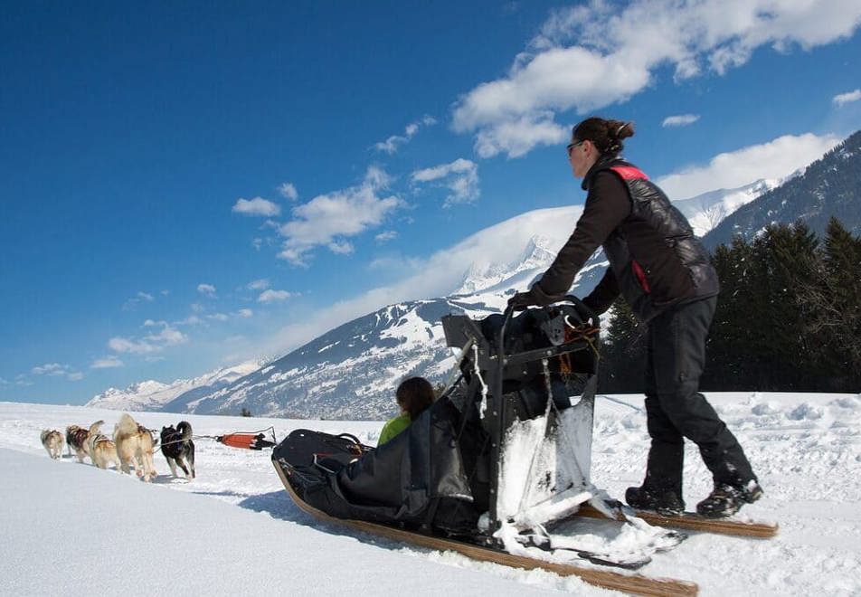 Dog sledding in Megeve