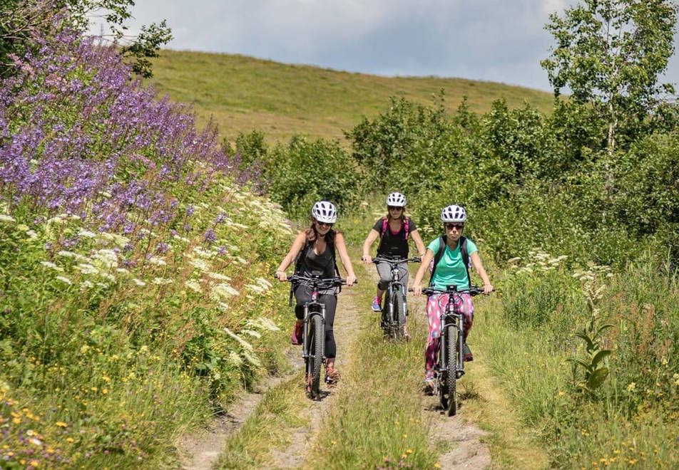 Mountain biking in Megeve