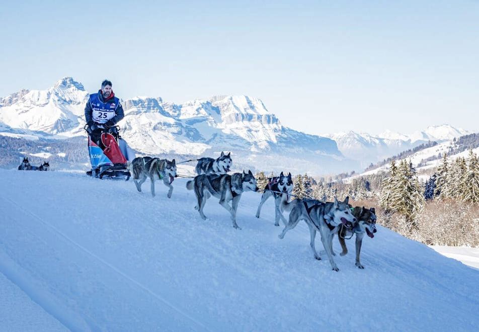 Megeve dog sledding (©SimonGarnier)