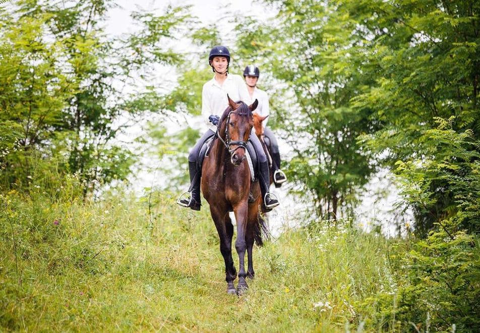 Horse riding in Megeve