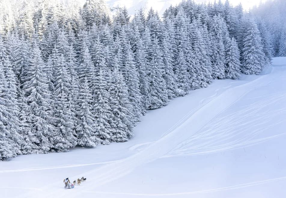 Villard de Lans - La Grande Odyssee event