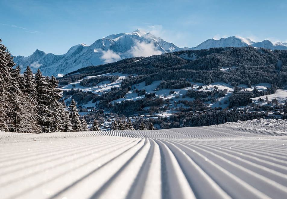 Combloux tree-lined ski slopes (©MarineMartin)