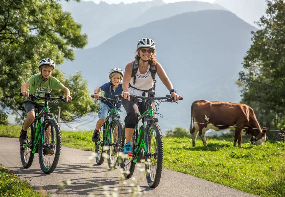 Combloux mountain biking (©Rickards)