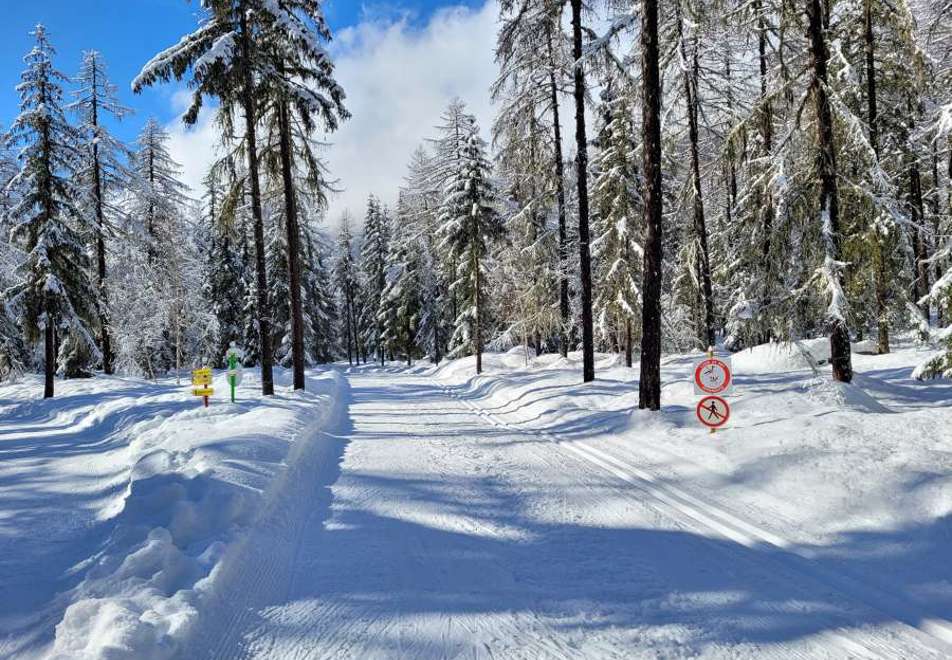 Chamonix nordic skiing