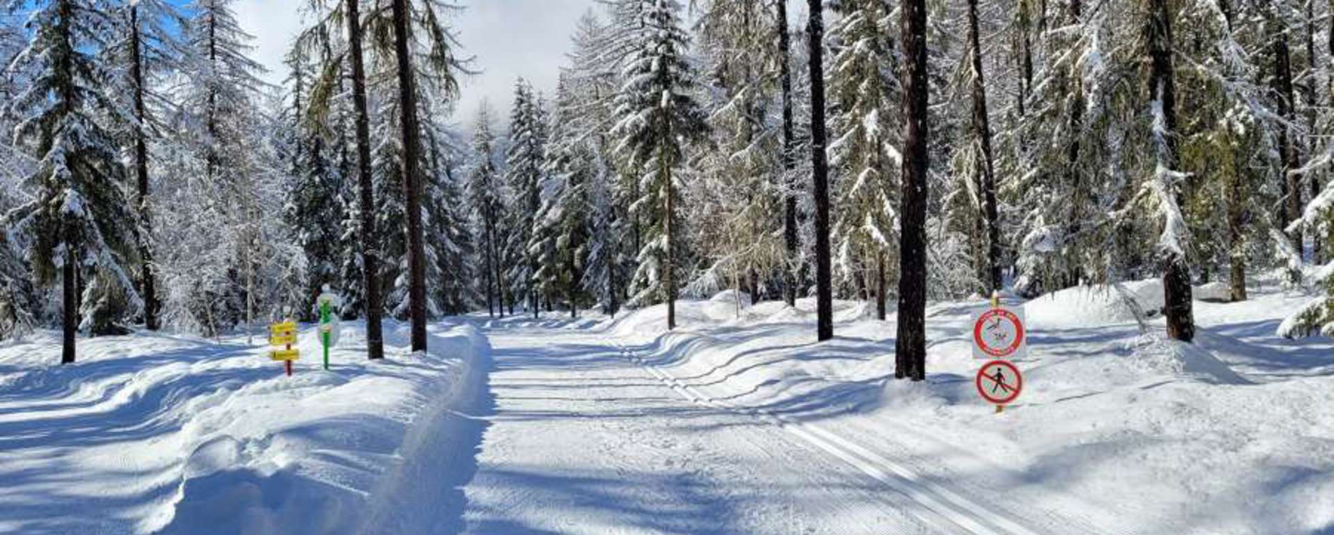 Chamonix nordic skiing