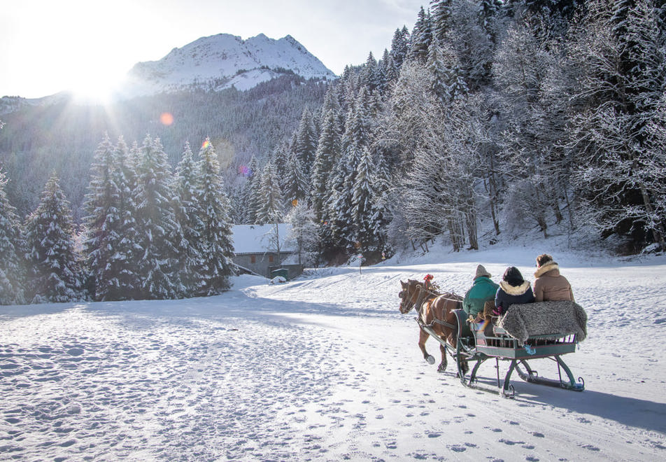 Horse drawn sled in Les Contamines