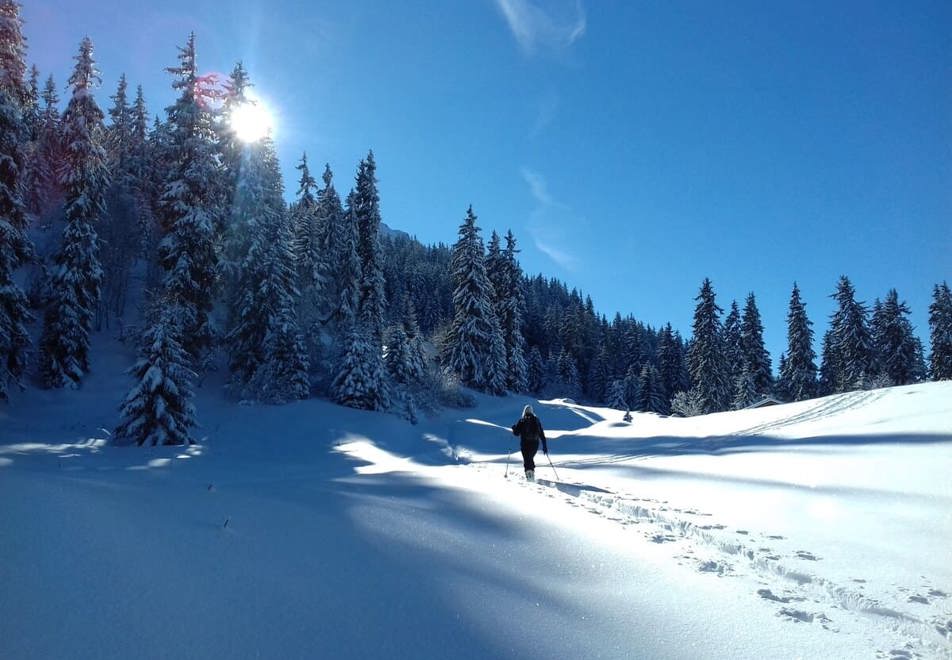 Valmorel snowshoeing (©FlorentEspagnac)