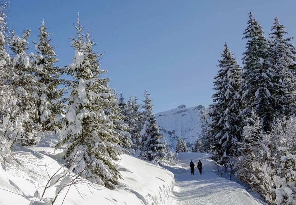 Snowshoeing in Megeve